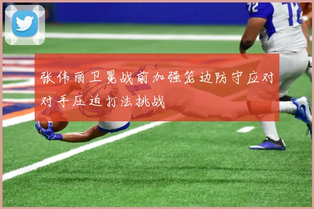 张伟丽卫冕战前加强笼边防守应对对手压迫打法挑战